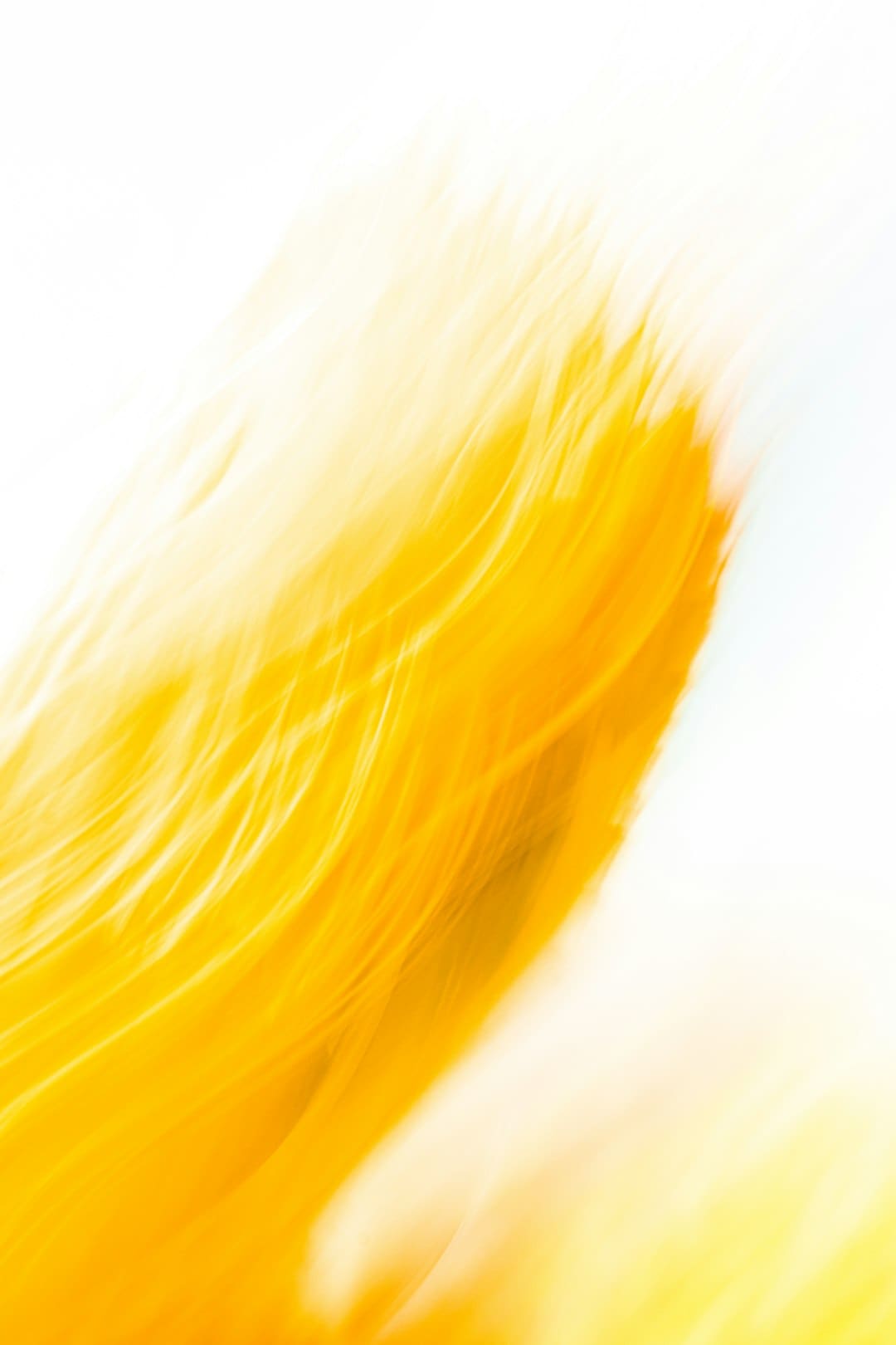 http://n.sinaimg.cn/default/1_img/upload/3933d981/761/w930h631/20180316/Out9-fysiaxh9446819.jpg?zdy